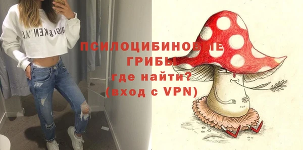 МДПВ Алзамай