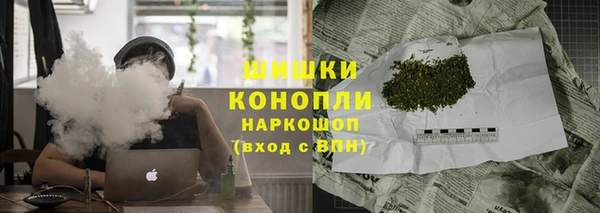 мдпв Осташков