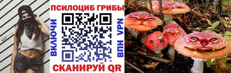 маркетплейс клад  купить наркотик  Лебедянь  Псилоцибиновые грибы ЛСД 