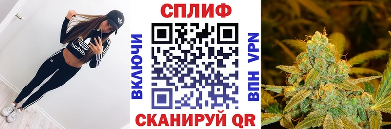 купить наркотики цена кракен зеркало Конопля MAZAR Лебедянь